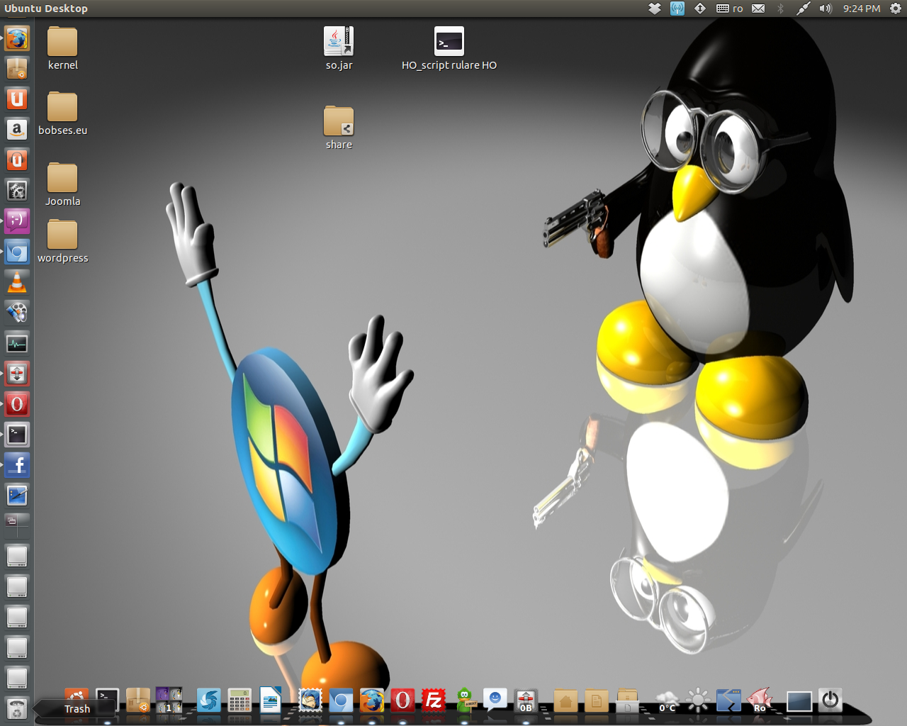 Ubuntu 13.04