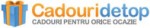 logo-cadouridetop-mic
