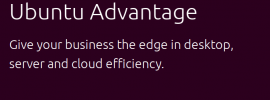 ubuntu advantage for enterprise