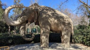 Imagine din parcul La Ciutadella